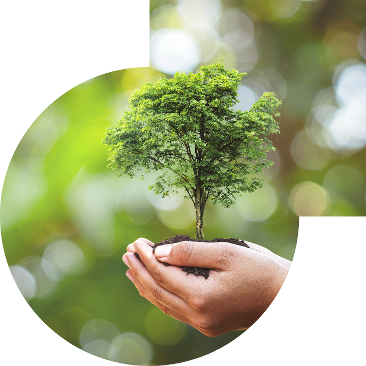 关怀人类、文化、环境与社会